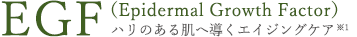 EGF(Epidermal Growth Factor)ハリのある肌へ導くエイジングケア